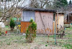 Masz bałagan na działce? Grożą za to surowe kary