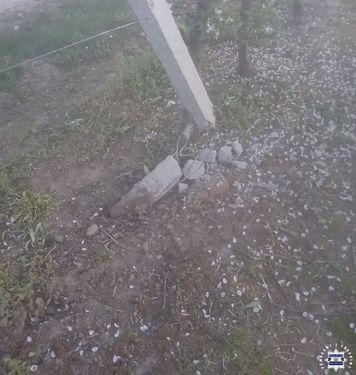 Rozpędzonym quadem uderzyli w drzewo i betonowy słup. Troje nastolatków miało ogromne szczęście [wideo]