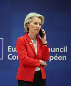 Incydent na konferencji von der Leyen. Próbował dokonać "obywatelskiego zatrzymania" szefowej KE