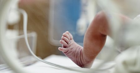 Powiedziała, że znalazła go w lesie. Szokujące wieści z Krotoszyna