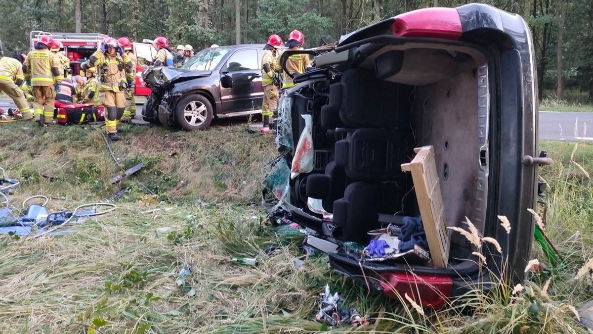 Jeleń wbiegł wprost pod auto