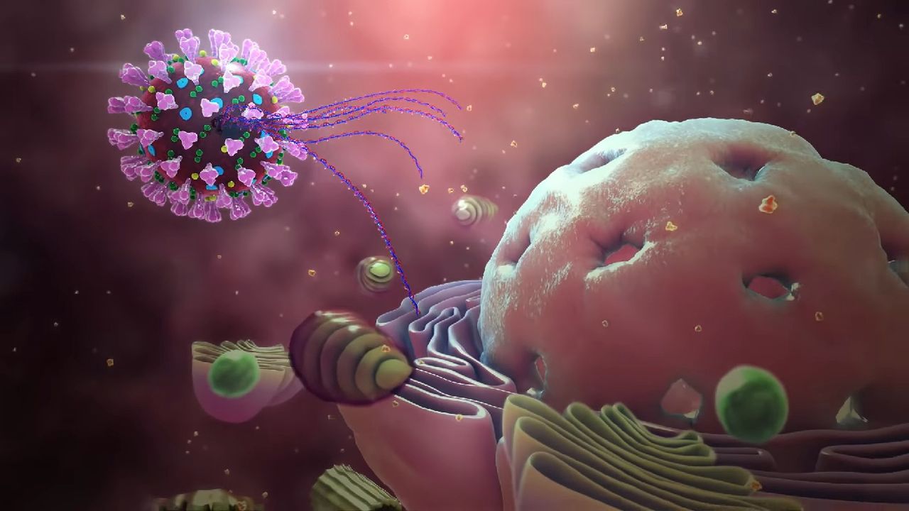Nie da się rozwinąć odporności na koronawirusa? Niepokojące wyniki badania z Wuhan