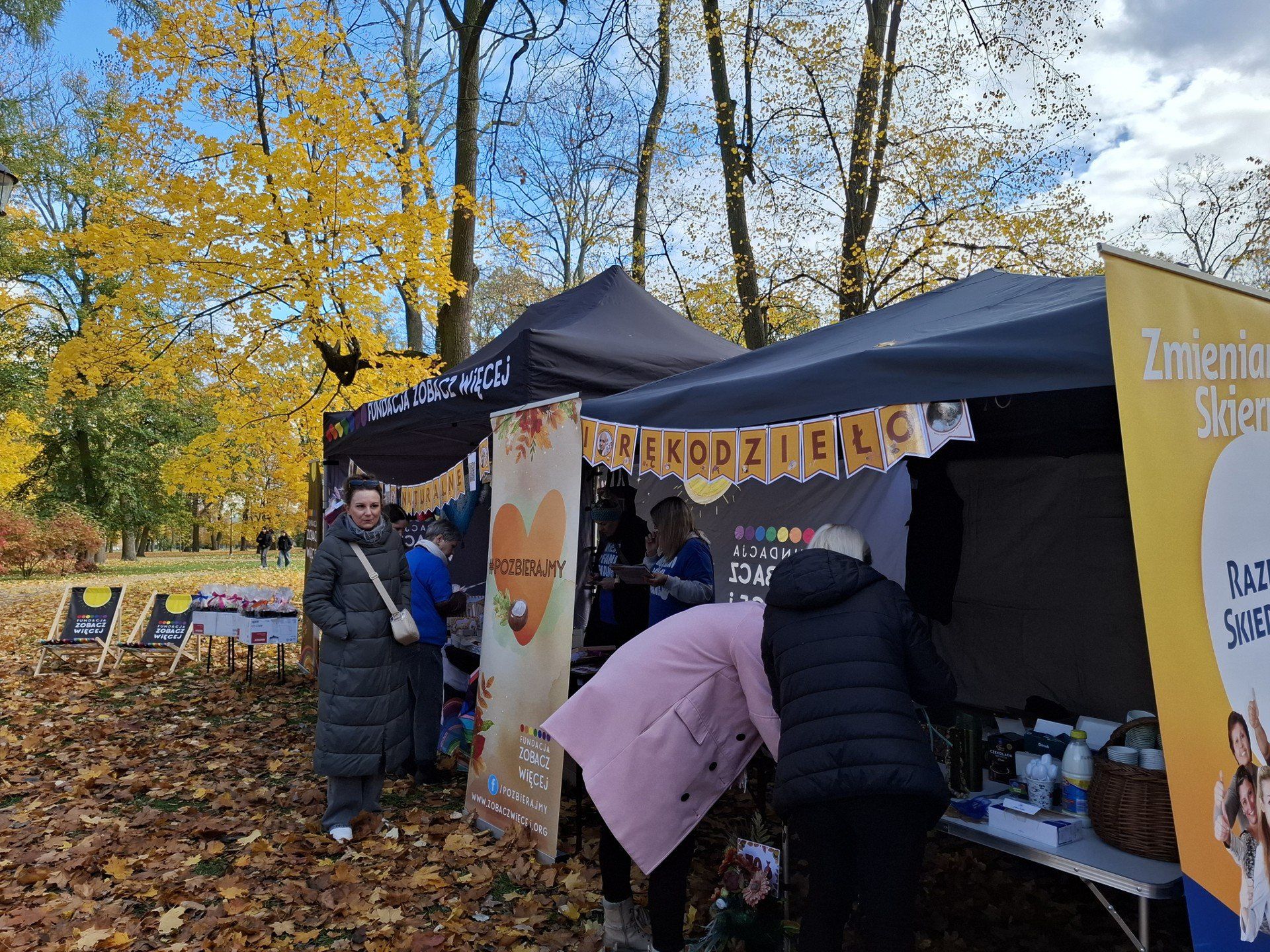 Trwa wielkie zbieranie kasztanów w parku miejskim. Zbierają mali i duzi