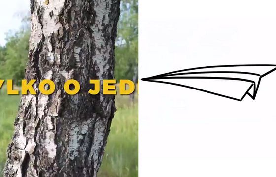 Szymon Hołownia krytykowany za aluzję w spocie do katastrofy smoleńskiej. „Obrzydliwe palikociarstwo” (wideo)