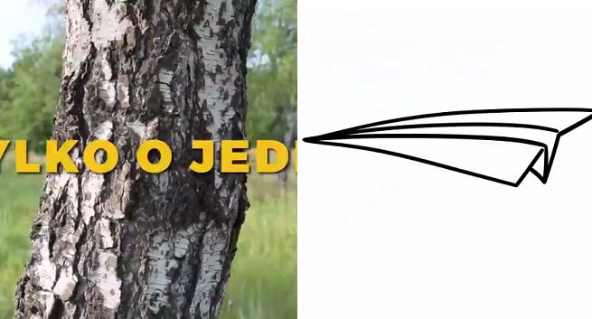 Szymon Hołownia krytykowany za aluzję w spocie do katastrofy smoleńskiej. „Obrzydliwe palikociarstwo” (wideo)