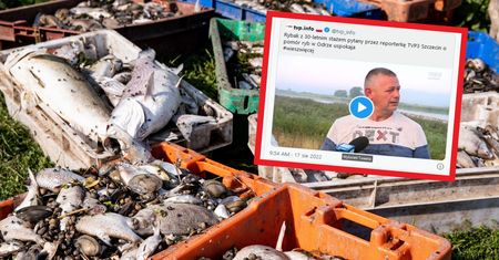 TVP ma już wytłumaczenie na Odrę. "Natura da sobie radę z pomocą państwa"