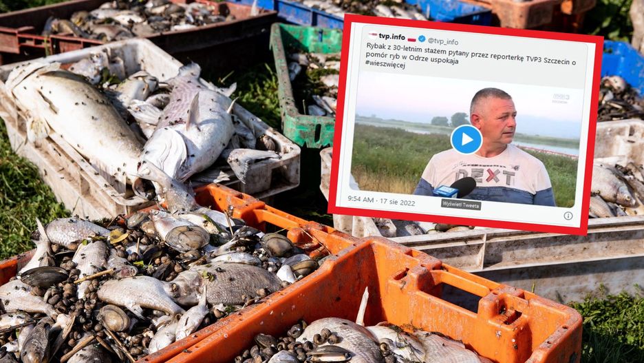 Skażona Odra. TVP Info pokazuje swoją narrację
