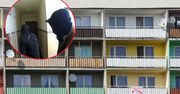 Mieszkańcy osiedla w strachu. Wszystko nagrała kamera monitoringu