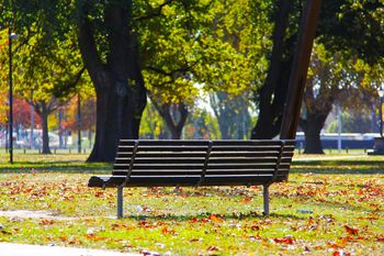 Poznań: Teren ze skupiskami garaży miasto chce przekształcić w park