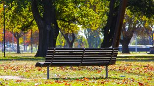 Poznań: Teren ze skupiskami garaży miasto chce przekształcić w park