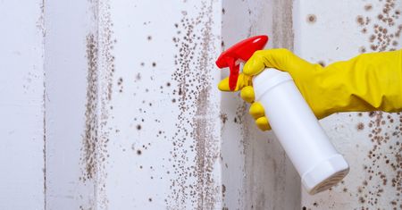 Prosty patent. Tak skutecznie zwalczysz pleśń na ścianach