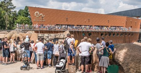 Wrocław. ZOO oblegane przez tłumy. Rekordowe wyniki