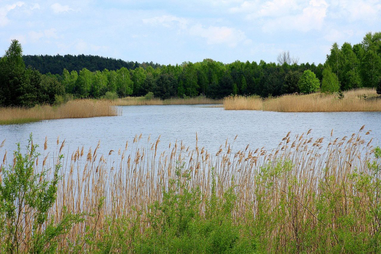 Koszmar w zalewie w Natalinie. Znaleziono zwłoki kobiety