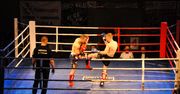 Krew, pot i sportowe emocje na Gali Boksu K-1 w Chodzieży