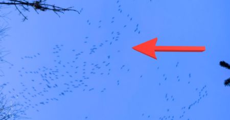 Zobaczyli je nad Bieszczadami. Od razu chwycili za aparat
