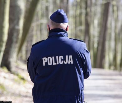 "Brakuje słów". Ktoś zabił i porzucił ciała psów myśliwskich