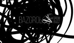 PZL uruchamia agencję marketingu internetowego Bazgroł, jej szefem Piotr Stasiak