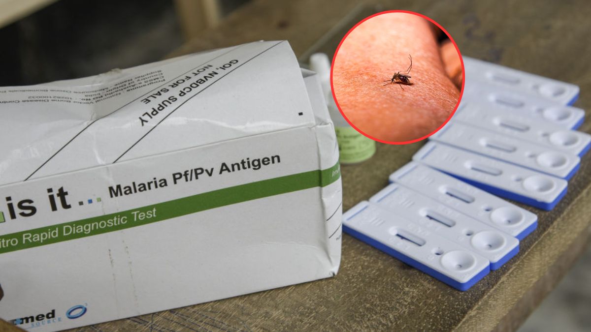 Za masowe zgony w Kongo odpowiada ostra forma malarii