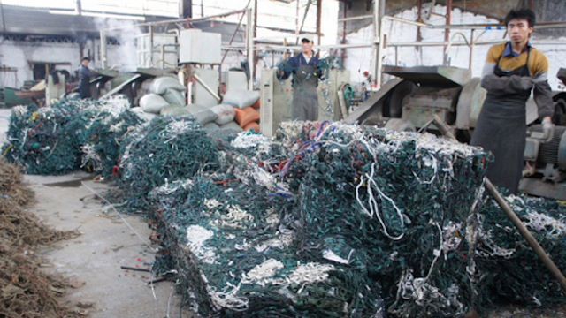 Gdzie umierają stare świąteczne lampki? [wideo] 1