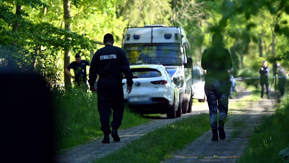 Zatrzymany 29-latek był wcześniej karany za podobne przestępstwa.
