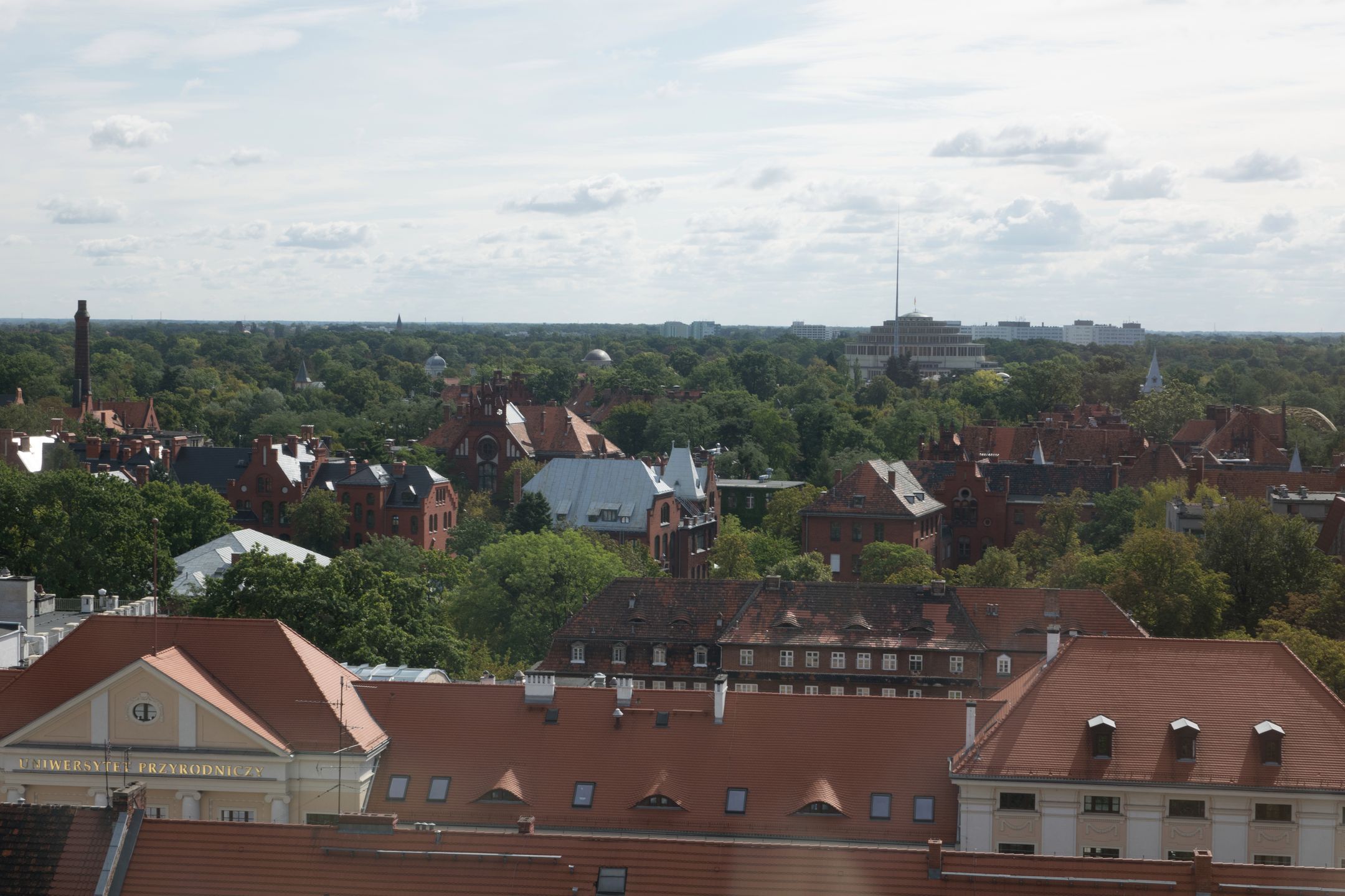 Sony RX10 Mark II - dobre, staje się jeszcze lepsze [test] 132