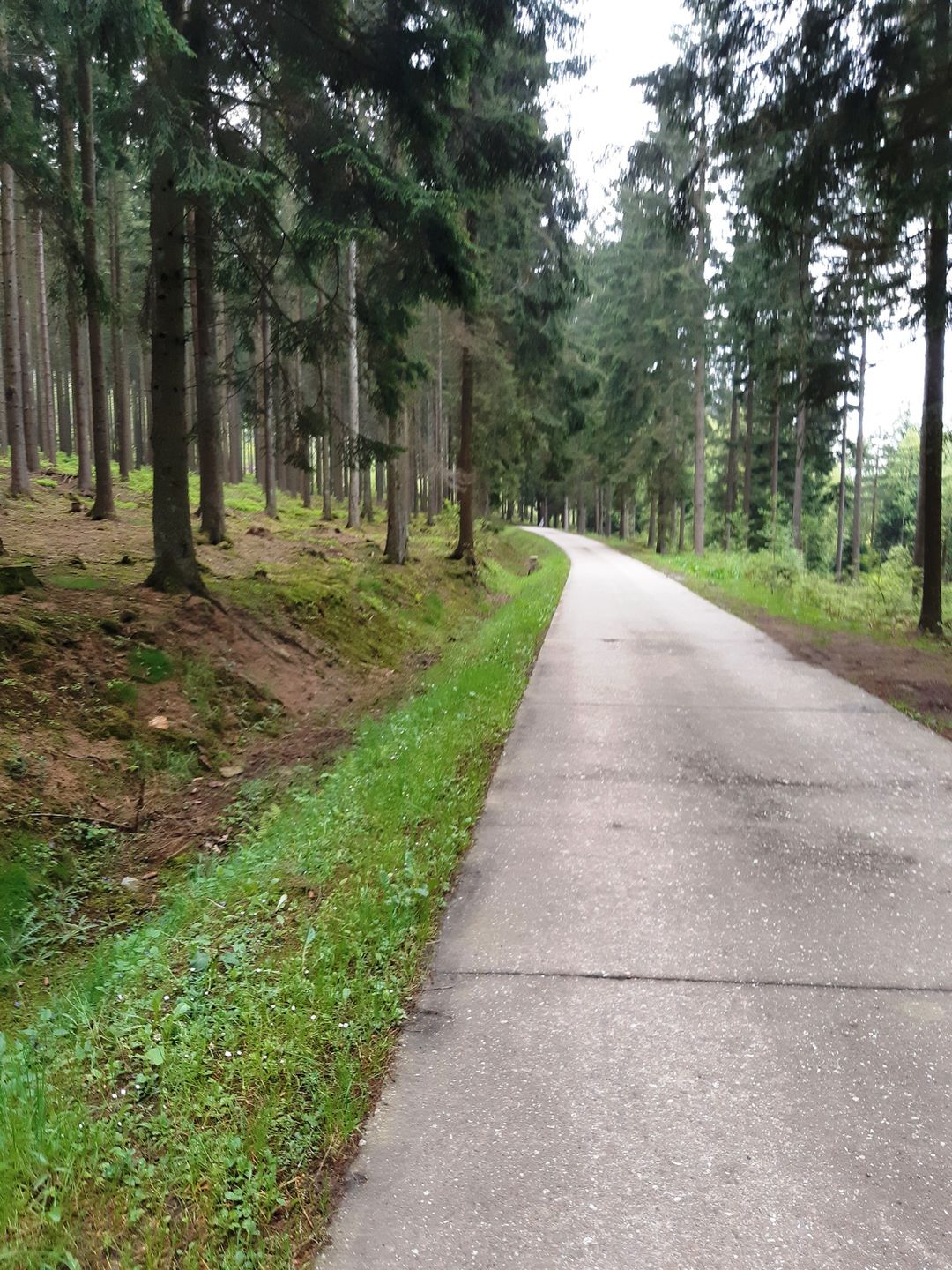 Pełna rozdzielczość