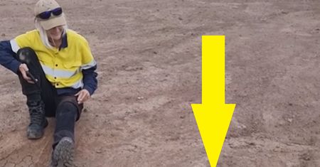 Wąż przeszkodził jej w przerwie. Niesamowite wideo z Australii