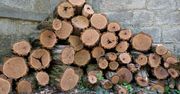 Ten błąd przy składowaniu drewna kosztuje fortunę. Opał traci wartość i ciepło