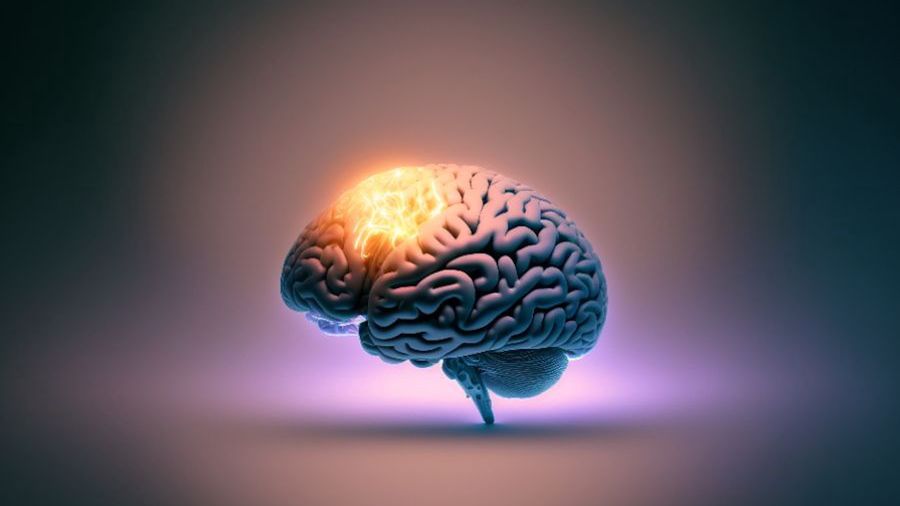 Co wiemy o pracy naszego mózgu?