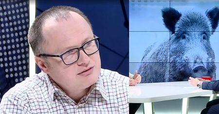 Poseł PiS proponuje ODSTRZAŁ ŻURAWI. "Jest gatunkiem chronionym!"