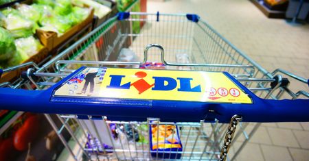 Lidl z nową ofertą. Aż 12 rodzajów testów. W tym test ciążowy