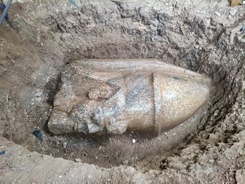 Pracował na własnej działce i natrafił na niezwykły skarb. Odkrycie w Egipcie zaskoczyło archeologów