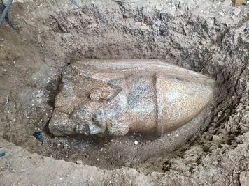 Pracował na własnej działce i natrafił na niezwykły skarb. Odkrycie w Egipcie zaskoczyło archeologów