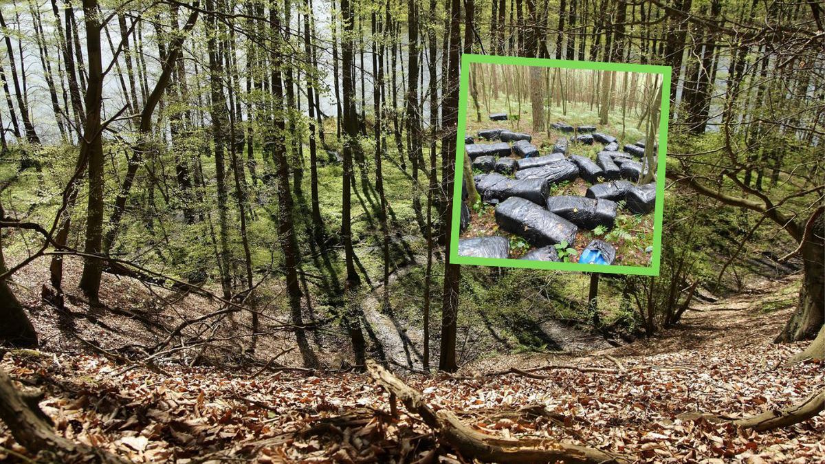 60 kanistrów w lesie. Lasy Państwowe mówią o realnym zagrożeniu