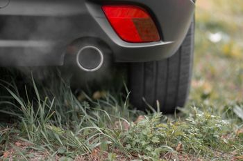 Łódź: Parkingowa samowolka trwa w najlepsze. Kierowcy rozjeżdżają trawniki, bo szkoda im kilku zł!