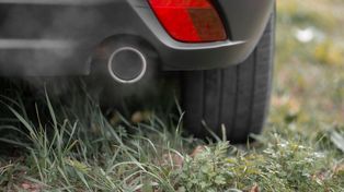 Łódź: Parkingowa samowolka trwa w najlepsze. Kierowcy rozjeżdżają trawniki, bo szkoda im kilku zł!