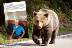Niedźwiedź zaatakował ratownika na Słowacji. Mężczyzna uciekł na drzewo