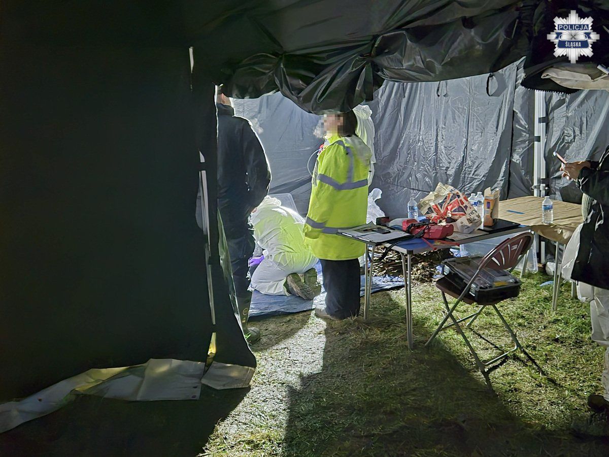 Po pięciu latach milczenia las przemówił. Brytyjsko-polski zespół odnalazł zwłoki Polaka zamordowanego w Slough – ostatni zabójca ekstradowany do Polski