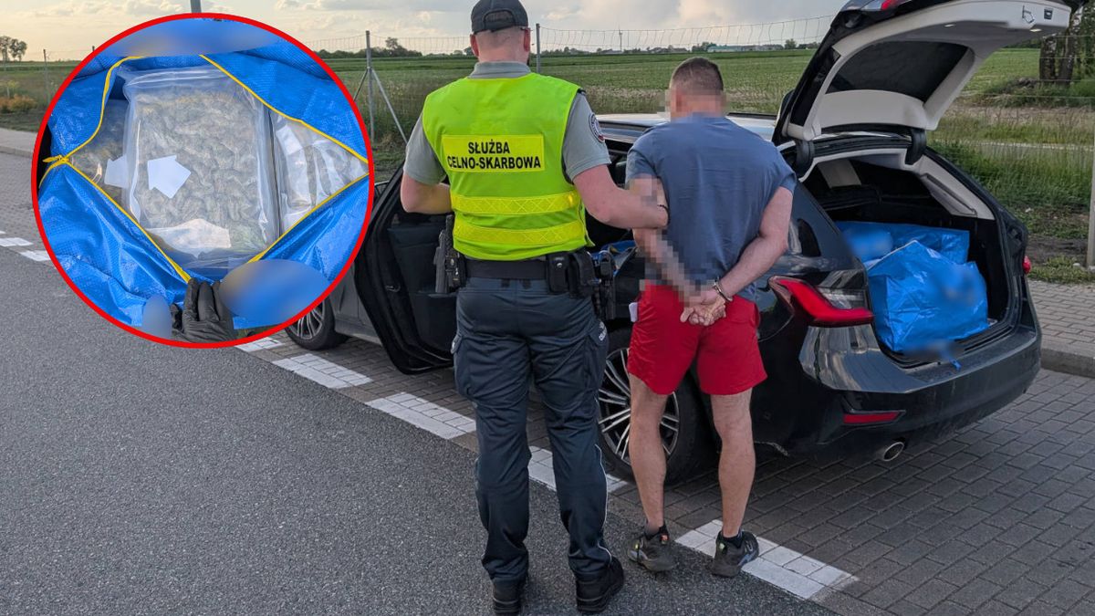 KAS zatrzymała 38 kg marihuany na autostradzie A2