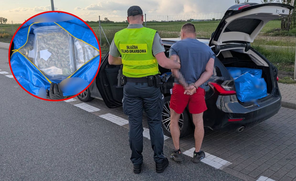 KAS zatrzymała 38 kg marihuany na autostradzie A2