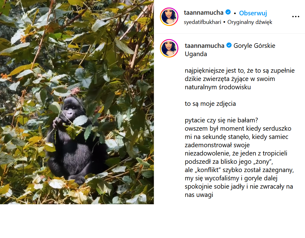 Anna Mucha pokazała goryle w Ugandzie