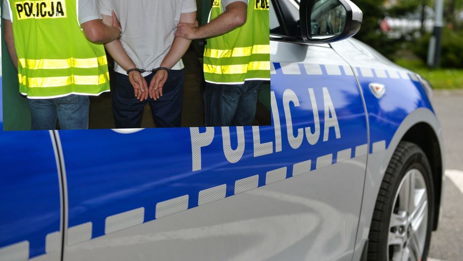 policja