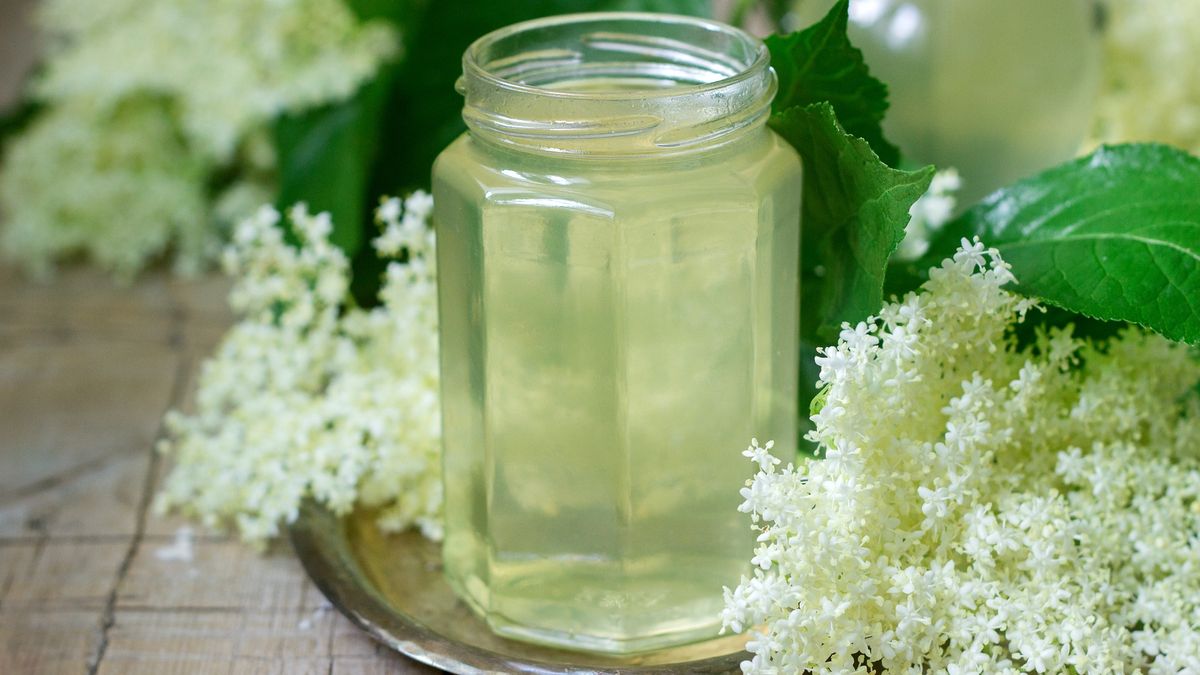 Jakie właściwości ma syrop z kwiatów czarnego bzu?