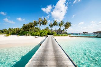 Praca marzeń szuka człowieka, a konkretnie "bosego księgarza". W ofercie darmowa willa na Malediwach