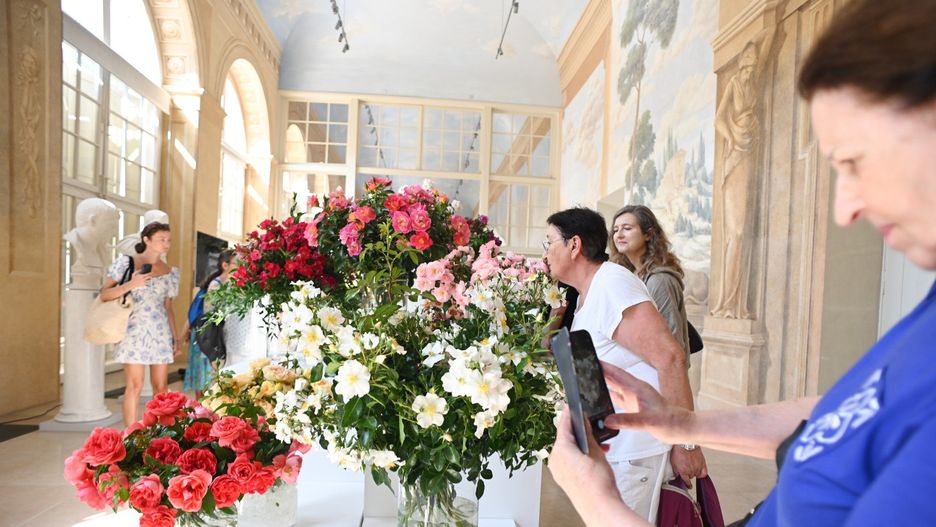 Royal Rose 2025 już wkrótce