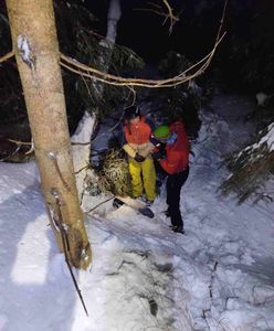 Nocna akcja służb w Beskidach. Znaleźli 46-latka