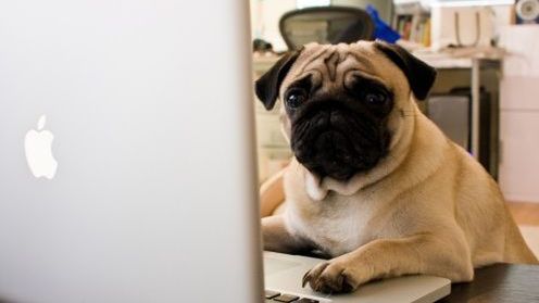 Czym może nas zaskoczyć MacBook? Letni konkurs Applemanii część 2 1