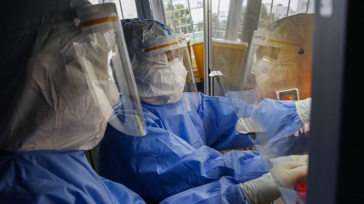 ministerstwo zdrowia apeluje wesela wesele koronawirus covid-19