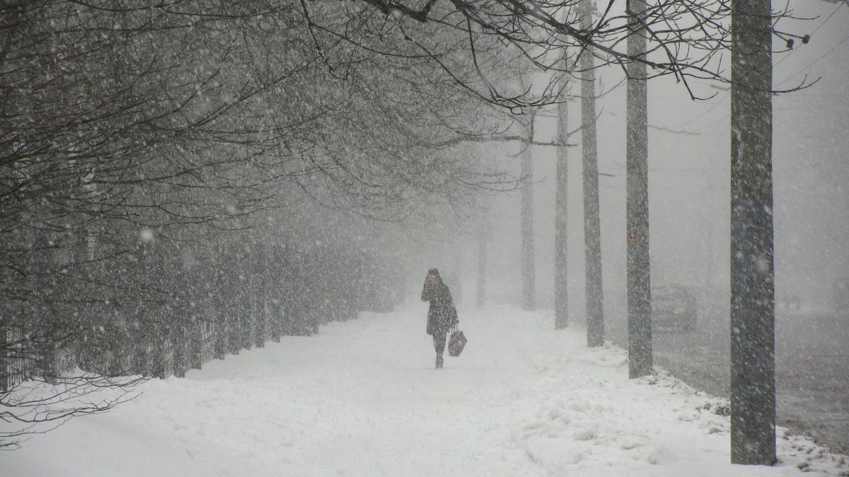 Awarie masowe na Pomorzu. Kilkanaście tysięcy odbiorców bez prądu (zdj. ilustracyjne)