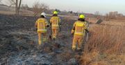 Lublin: Pożar traw przy ul. T. Grodzickiego. Interweniowali strażacy